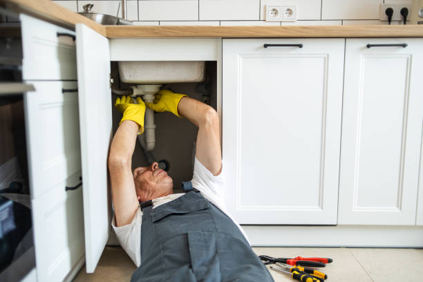 Best Clogged Drain Plumber  in Elkhorn, WI