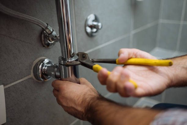 Best Plumbing Services Near Me  in Elkhorn, WI